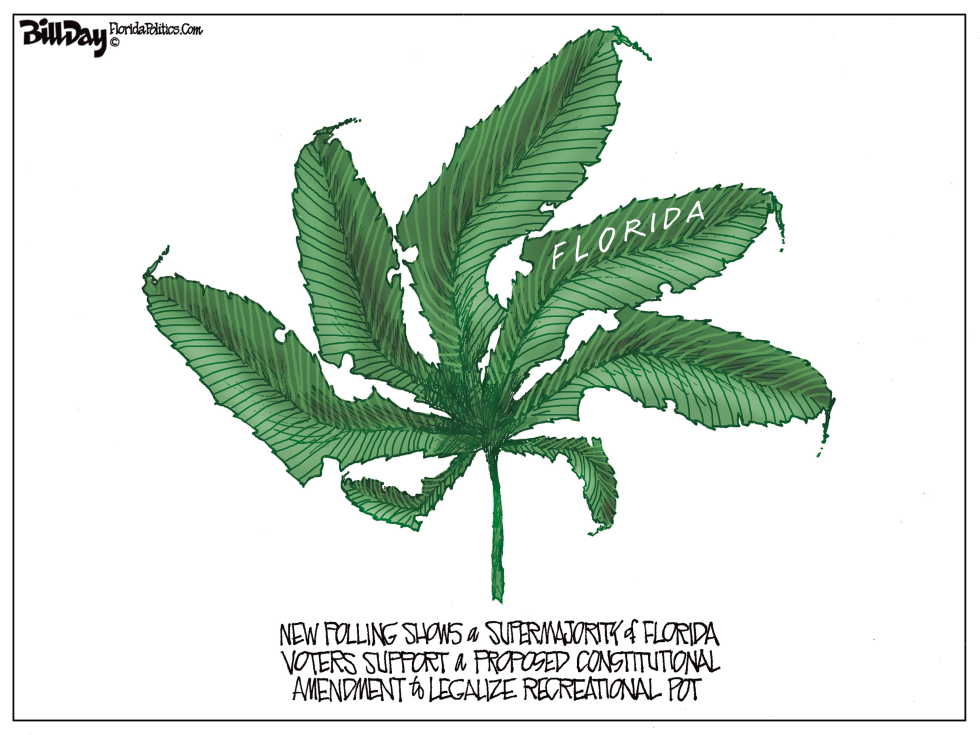 Florida Marijuana Amendment