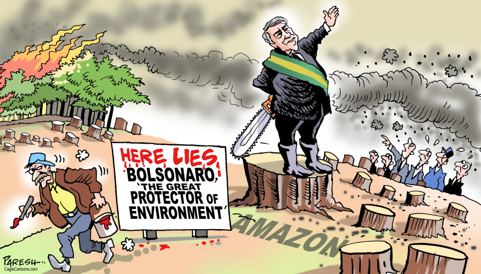  BOLSONARO AND AMAZON by Paresh Nath