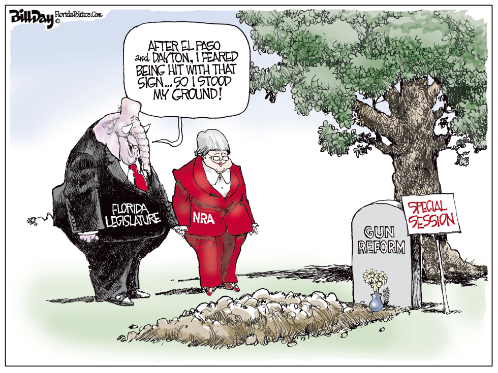 Florida Gun Reform