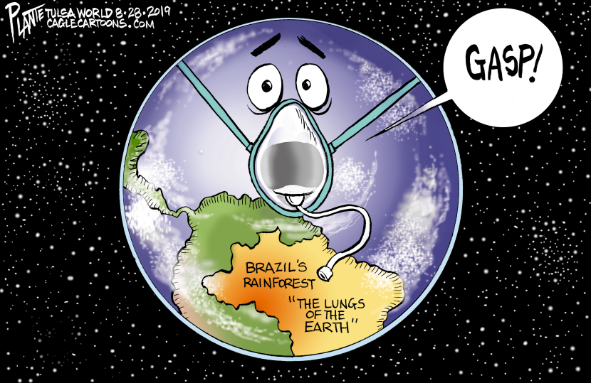 Brazil Nuts