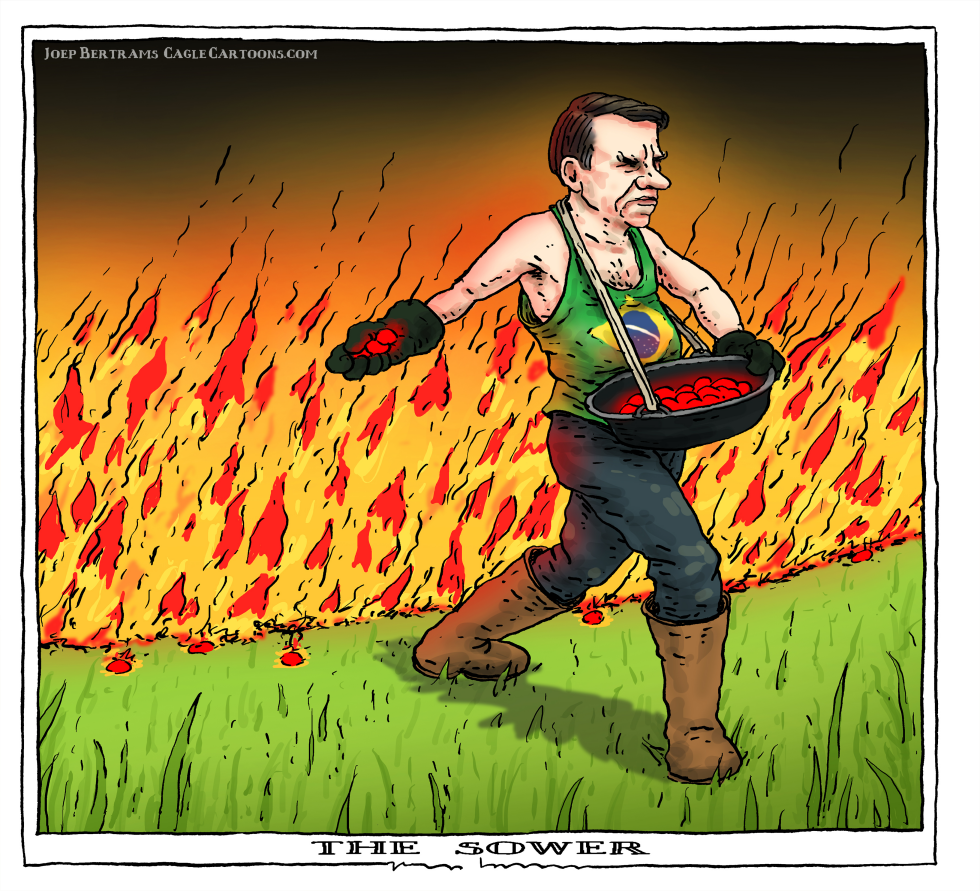 the sower