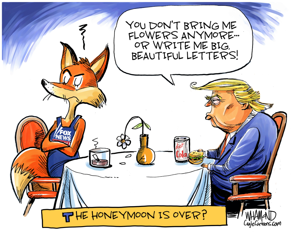  THE FOX NEWS TRUMP HONEYMOON IS OVER by Dave Whamond