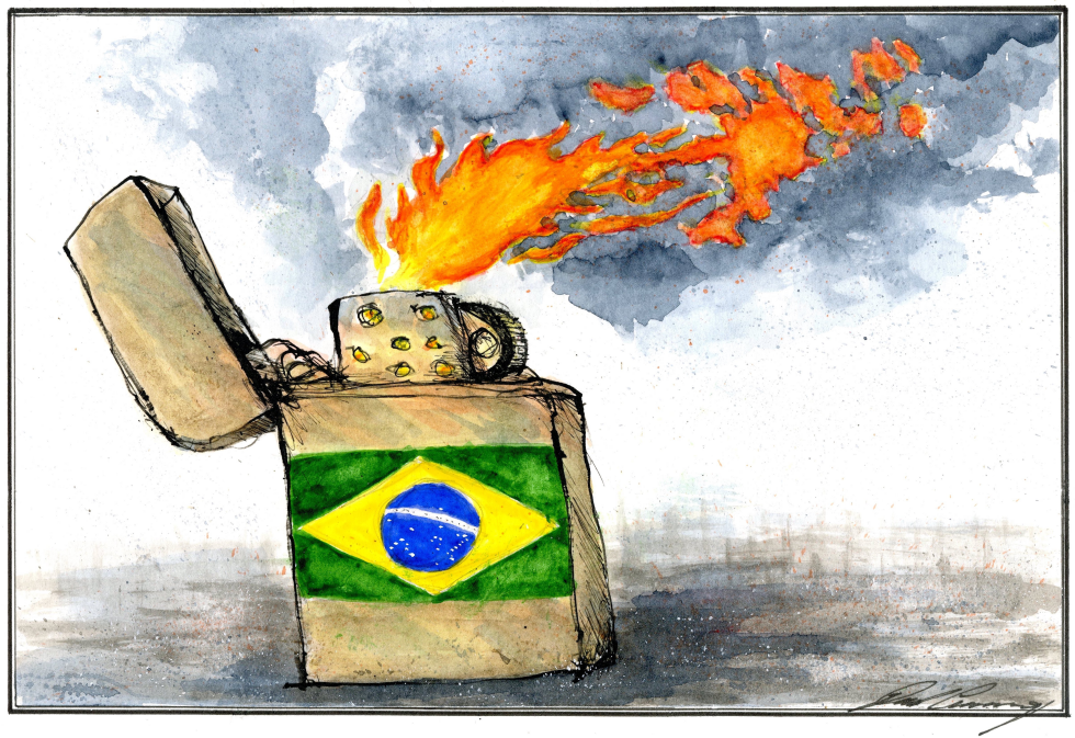 Brazil torches Amazon rainforest