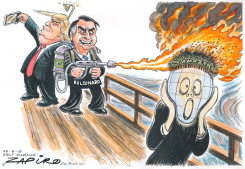AMAZON FIRES by Zapiro