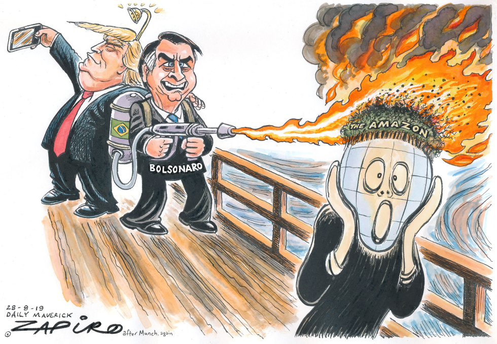 Amazon Fires