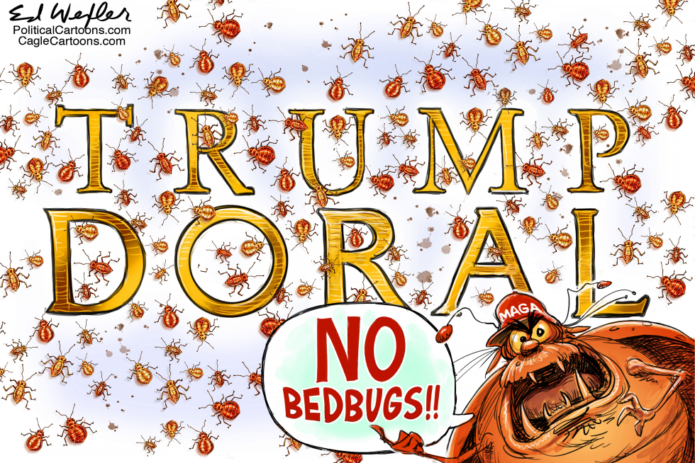 Doral Bedbugs