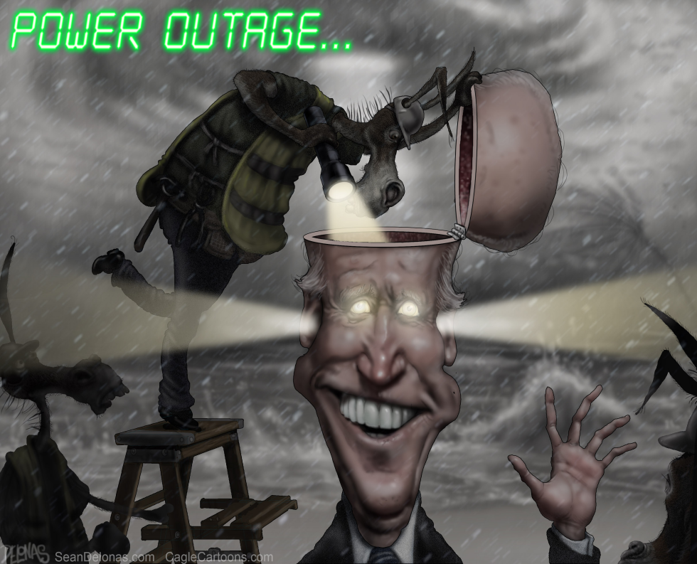  JOE BIDEN POWER OUTAGE by Sean Delonas