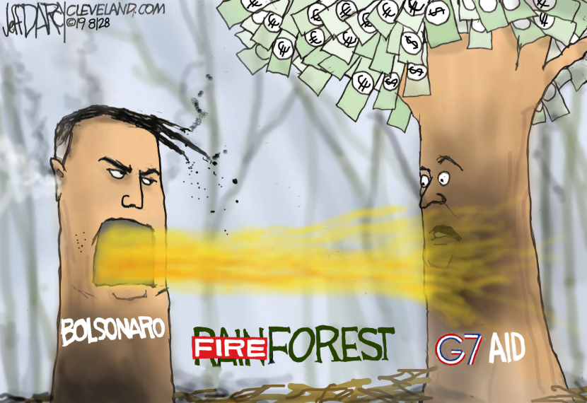 Brazil Rainforest Fire Aid