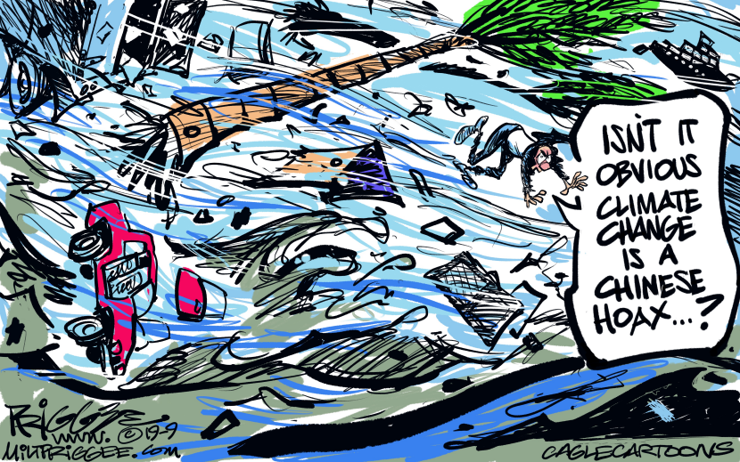 Chinese Hoax