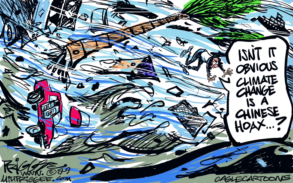 Chinese Hoax