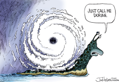 DORIAN by Joe Heller