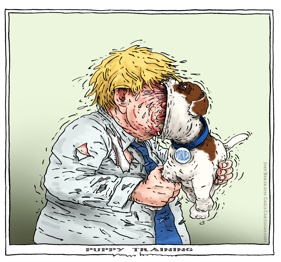  PUPPY TRAINING by Joep Bertrams