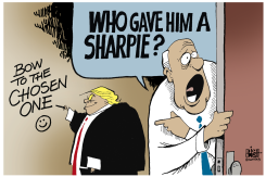 TRUMP SHARPIE LIES by Randy Bish