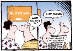 NDP IN IT FOR YOU by Ingrid Rice