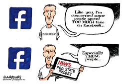 FACEBOOK INVESTIGATIONS by Jimmy Margulies