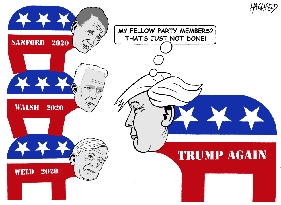 Trump's republican rival candidates