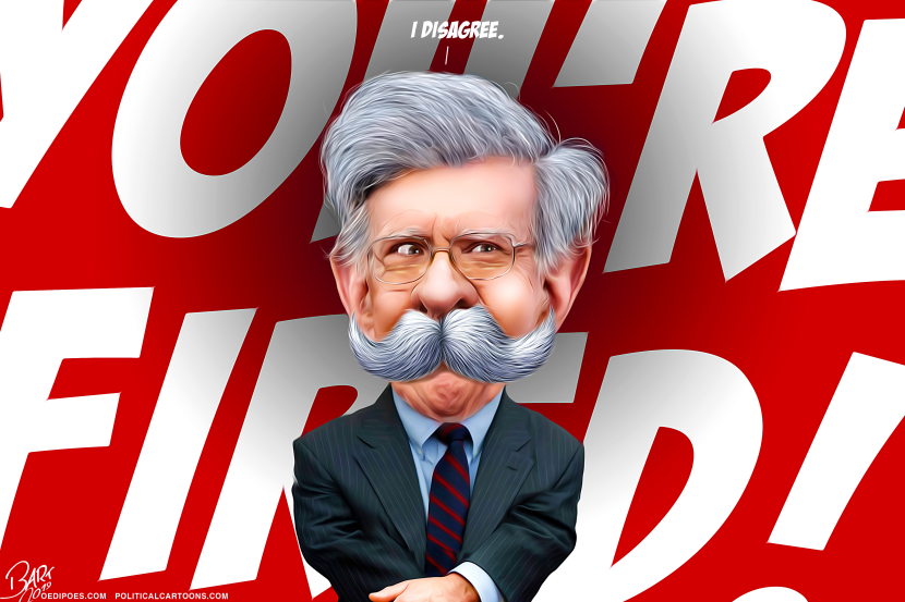 Bolton fired