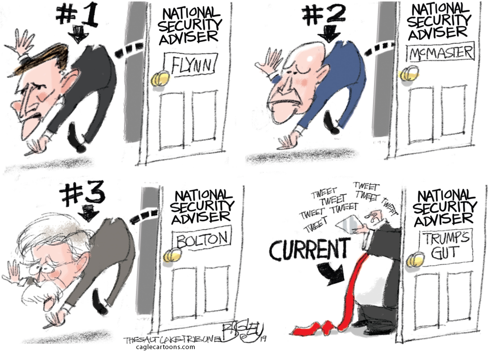 National Insecurity Adviser