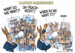 MIXED MESSAGES AT IMPEACHMENT RALLY by R.J. Matson