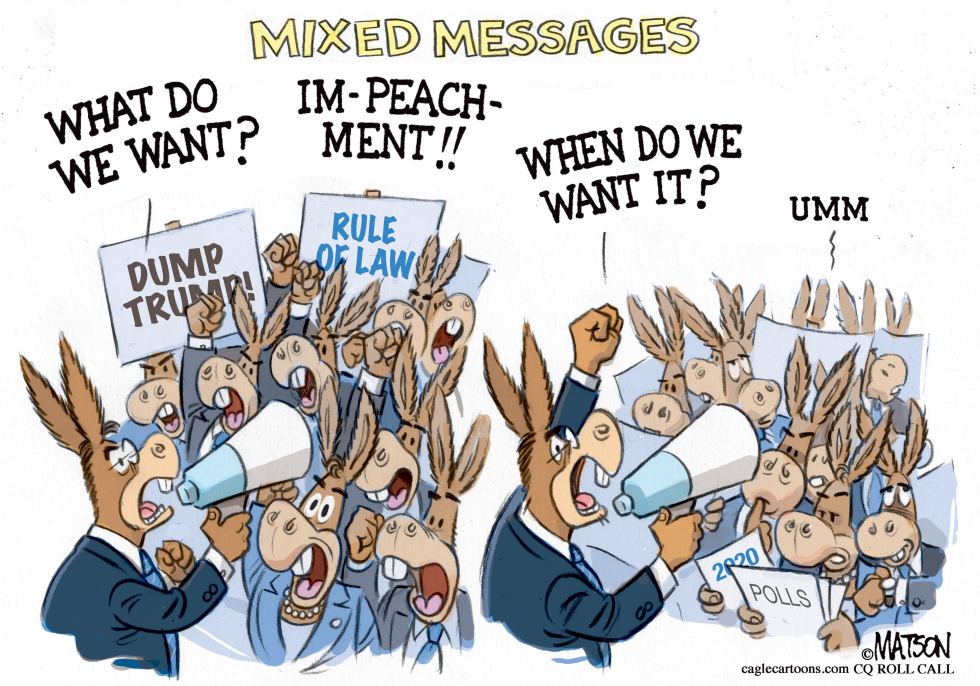  MIXED MESSAGES AT IMPEACHMENT RALLY by RJ Matson