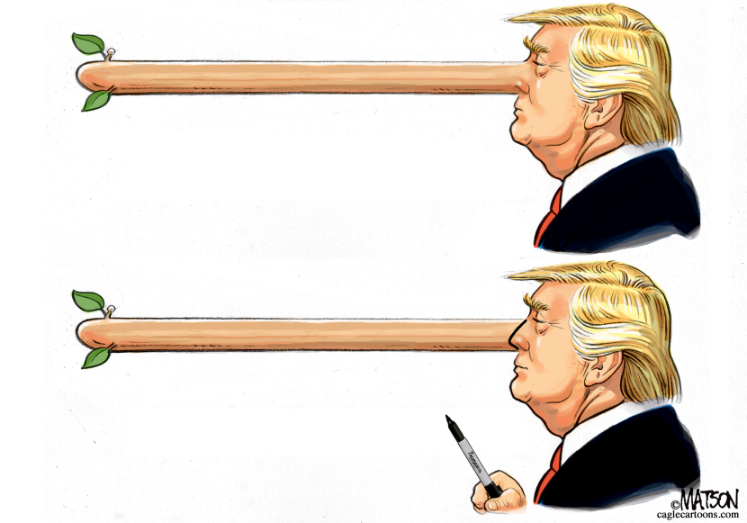 Trump Sharpie Image
