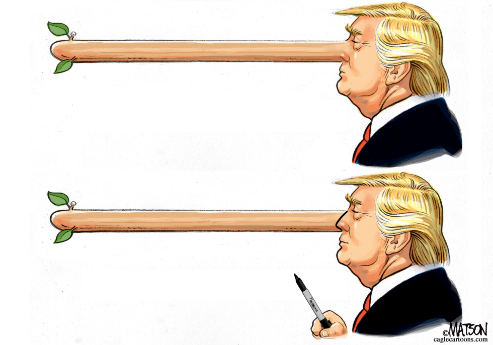 Trump Sharpie Image