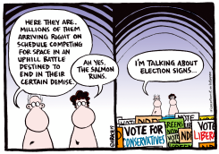 THE ELECTION RUN BEGINS by Ingrid Rice