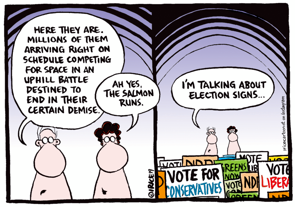 The Election Run Begins