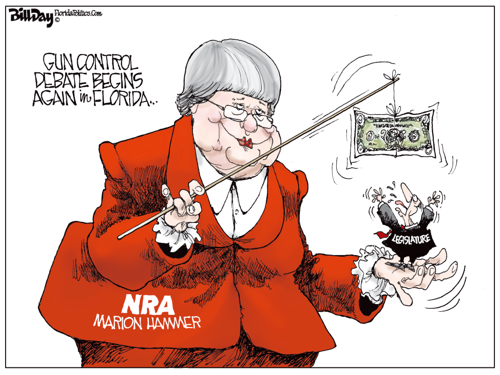 Florida Gun Control