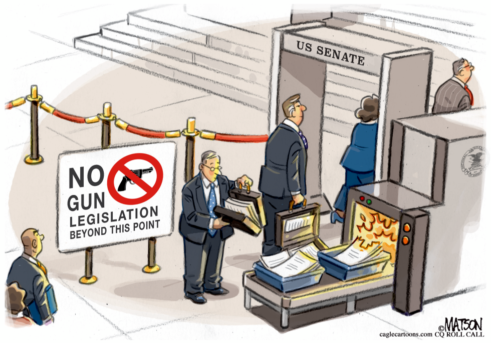  SENATE GUN BILL CONTROL CHECKPOINT by RJ Matson