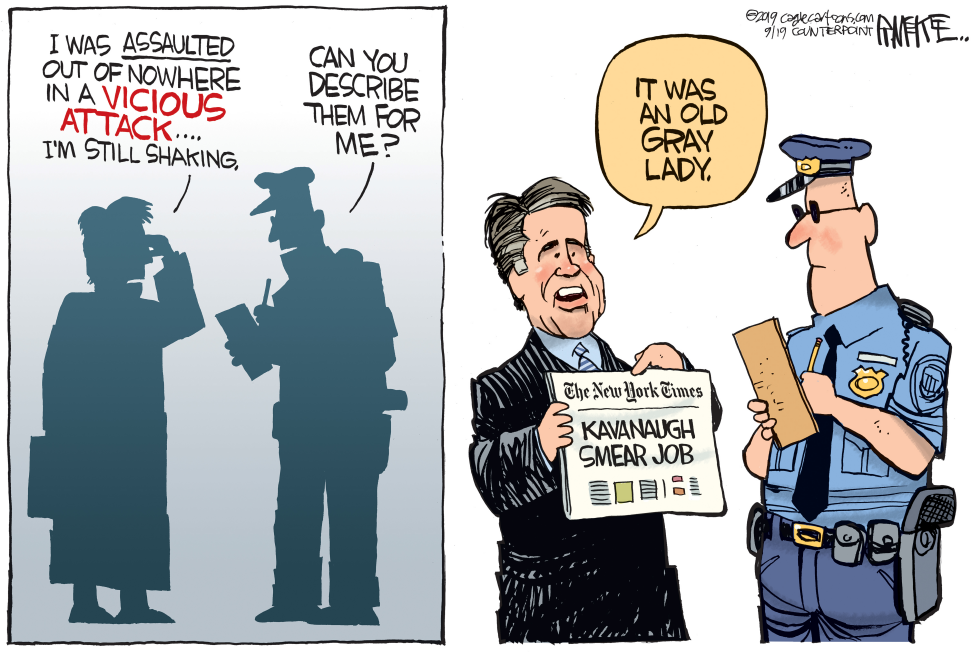 Kavanaugh Attack