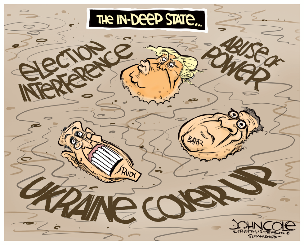  THE IN DEEP STATE by John Cole