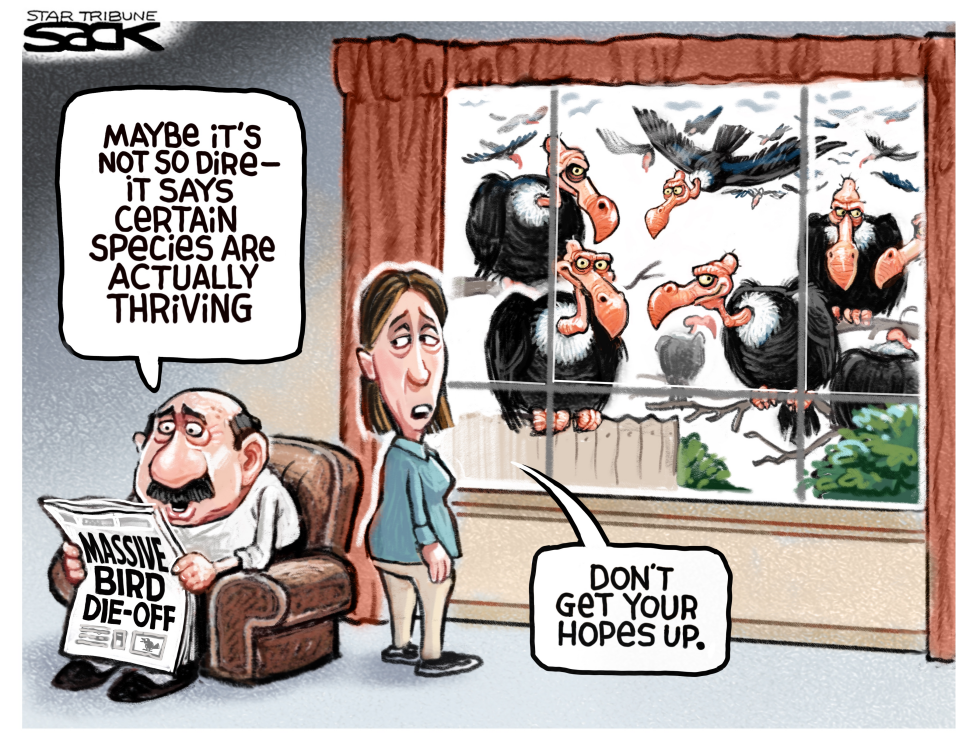  WATCH THE BIRDIES by Steve Sack