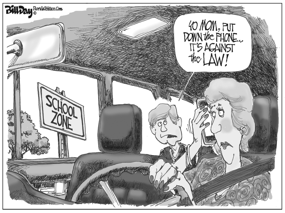 Cell Phone Law FLORIDA
