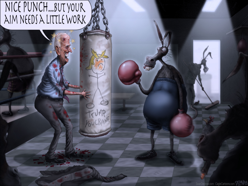 Biden Boxing