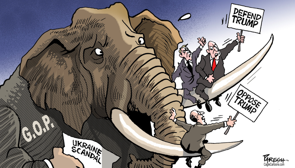  GOP DILEMMA by Paresh Nath