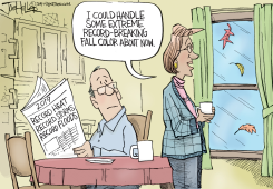 FALL S by Joe Heller