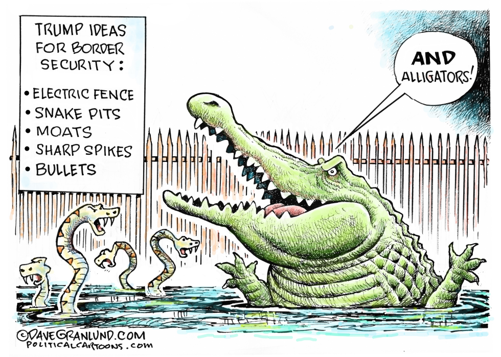 Border security and alligators