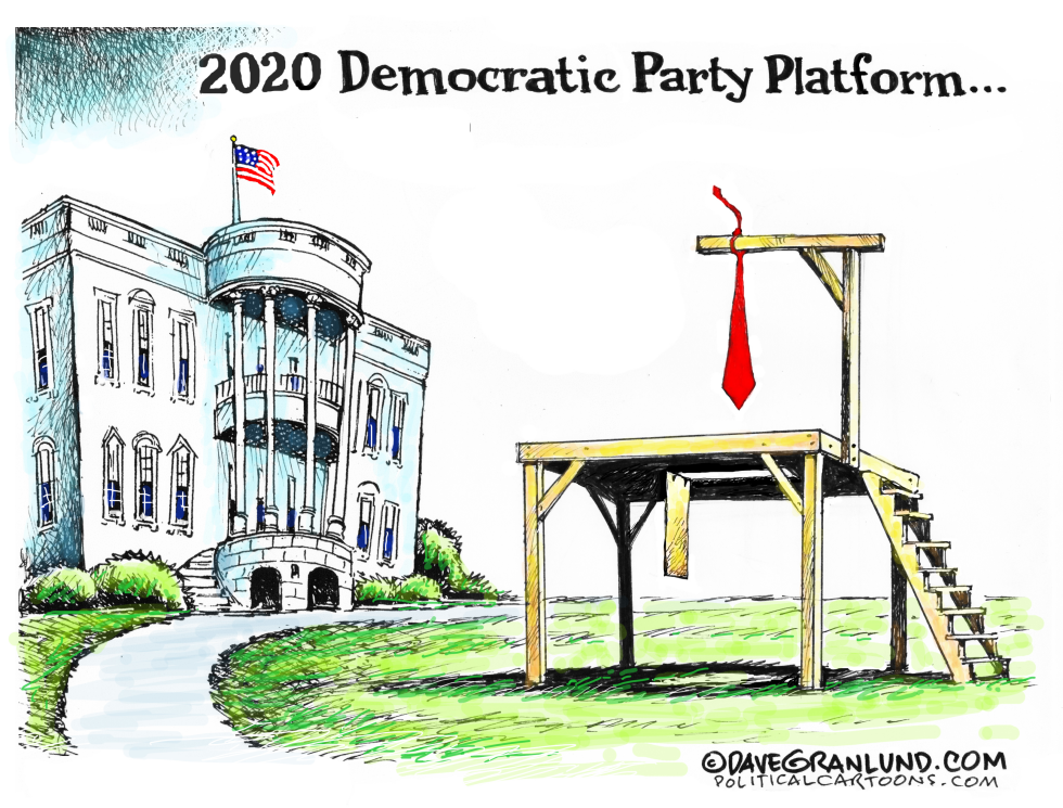  2020 DEMOCRATIC PARTY PLATFORM by Dave Granlund