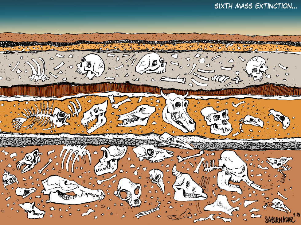  SIXTH MASS EXTINCTION by Sabir Nazar