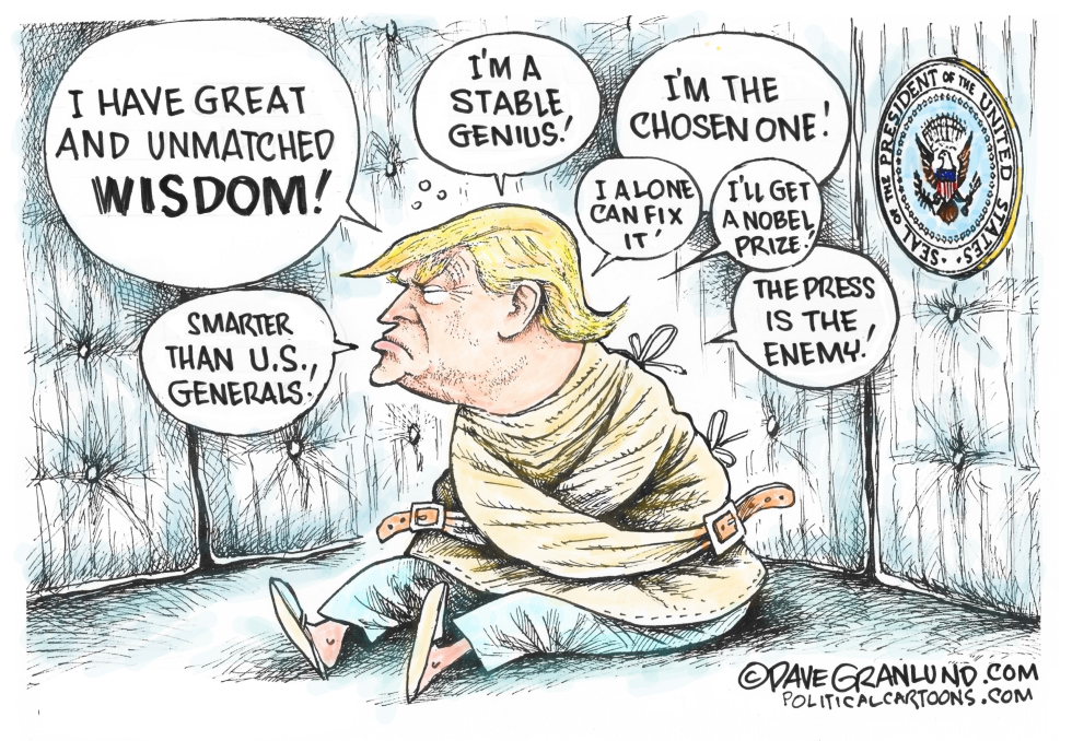  TRUMP UNMATCHED WISDOM by Dave Granlund