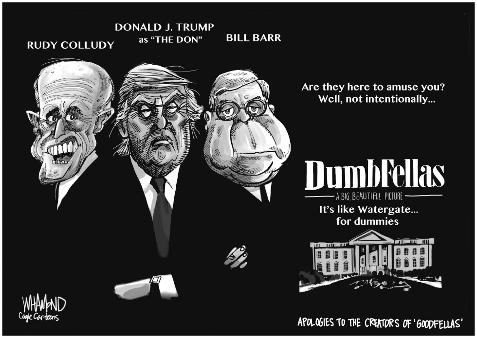 Dumb Fellas Watergate the sequel