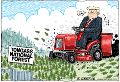 MOWING DOWN THE TONGASS by Monte Wolverton