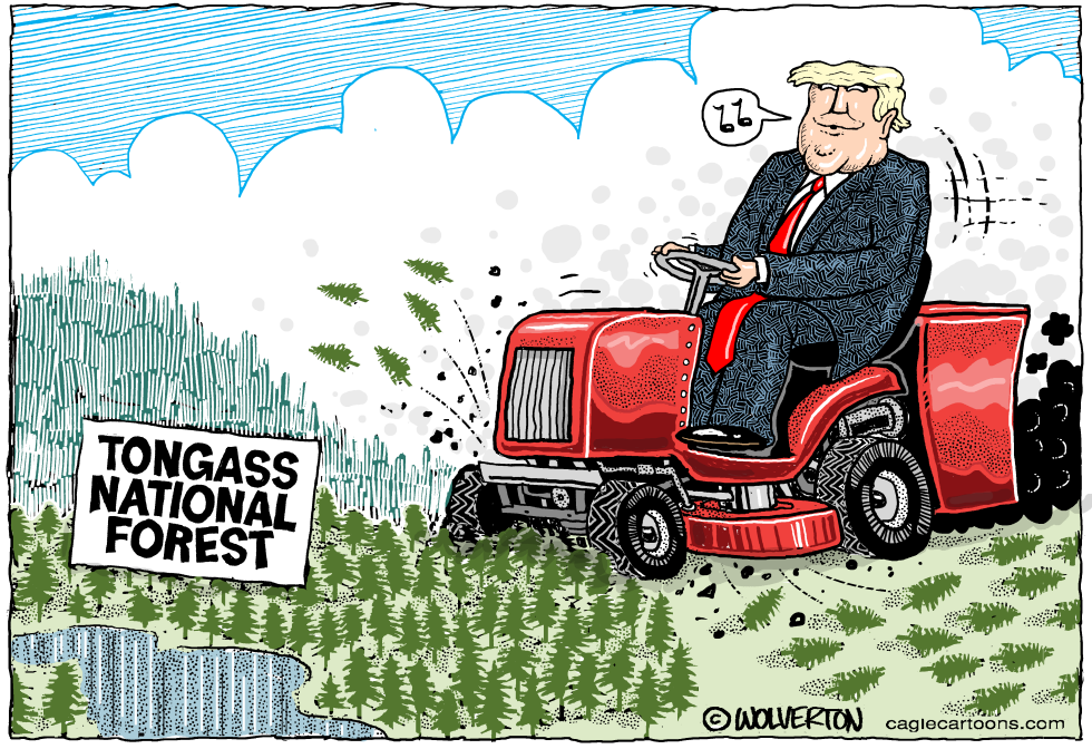 Trump Administration Moves to Open Tongass National Forest to Logging