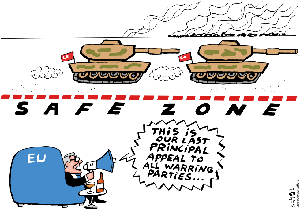 Safe zone Syria Europe's position