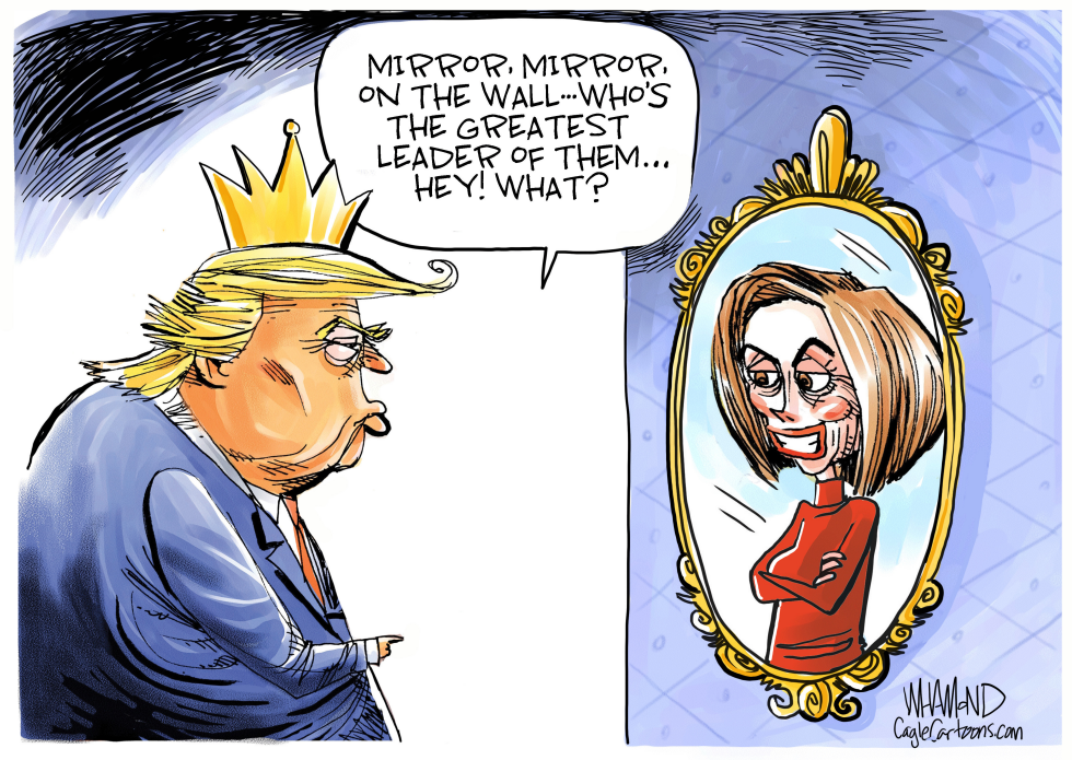  MIRROR MIRROR ON THE WALL by Dave Whamond