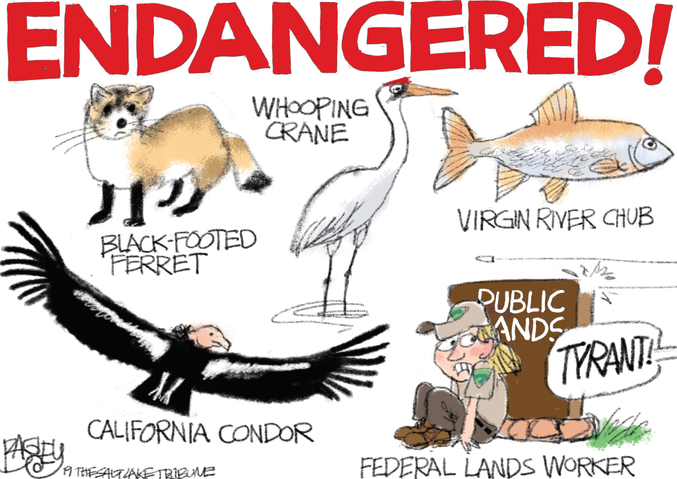  ENDANGERED SPECIES by Pat Bagley