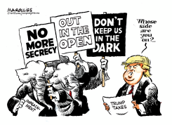 REPUBLICANS AND IMPEACHMENT by Jimmy Margulies