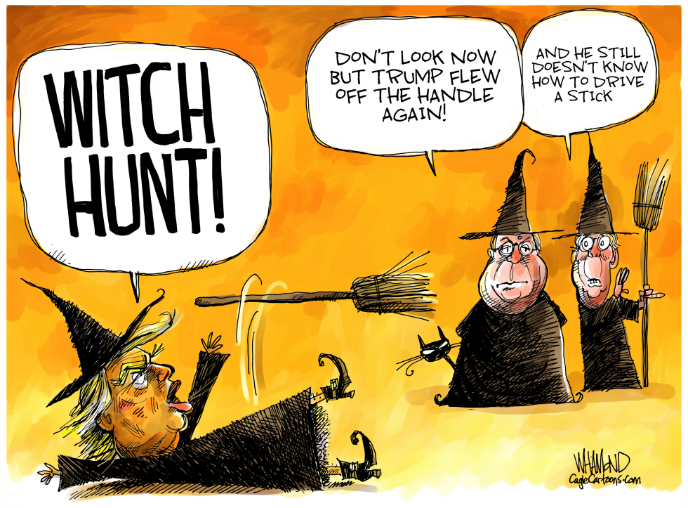  THIS WITCH HUNT IS CATCHING A LOT OF WITCHES by Dave Whamond