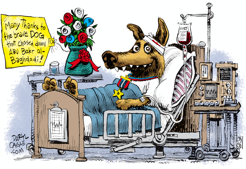 Dog Hero Abu Bakr al-Baghdadi CORRECTION